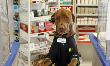 BP gas station has new clerk and it’s a DOG!