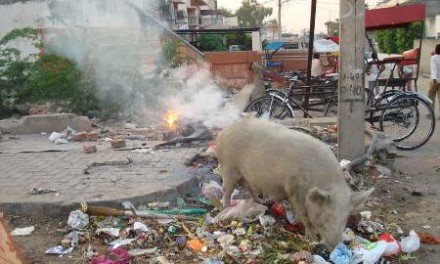 When Pig Fart in Bendigo, Victoria, Australia